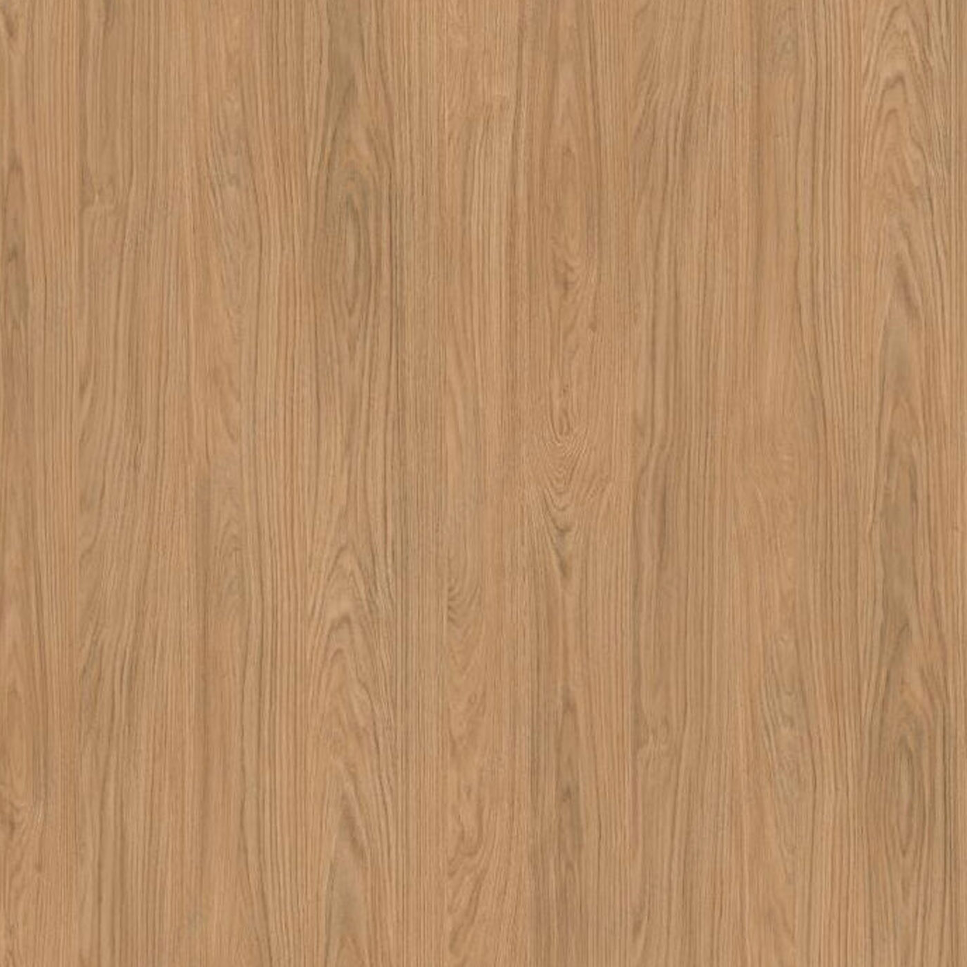 Stratifié Chêne Casella naturel H1385-ST40